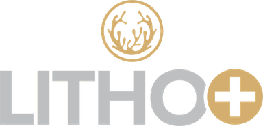 Litho+